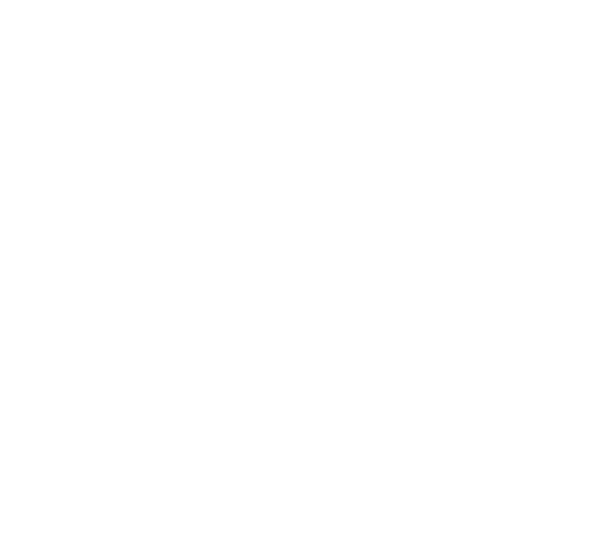 Navobod Naslli Parranda — корпоративный логотип NNP
