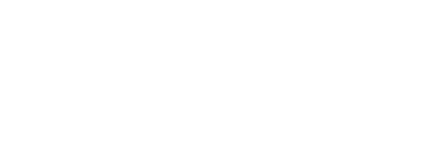 Navobod Naslli Parranda — корпоративный логотип NNP